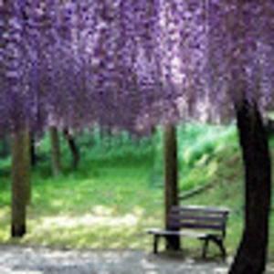 Meet your Posher, Brenda l.